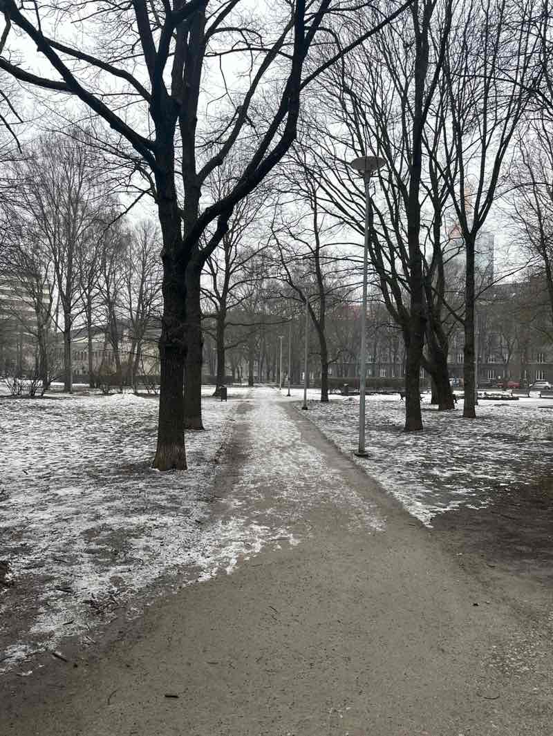 walking near me in Lembitu park in winter