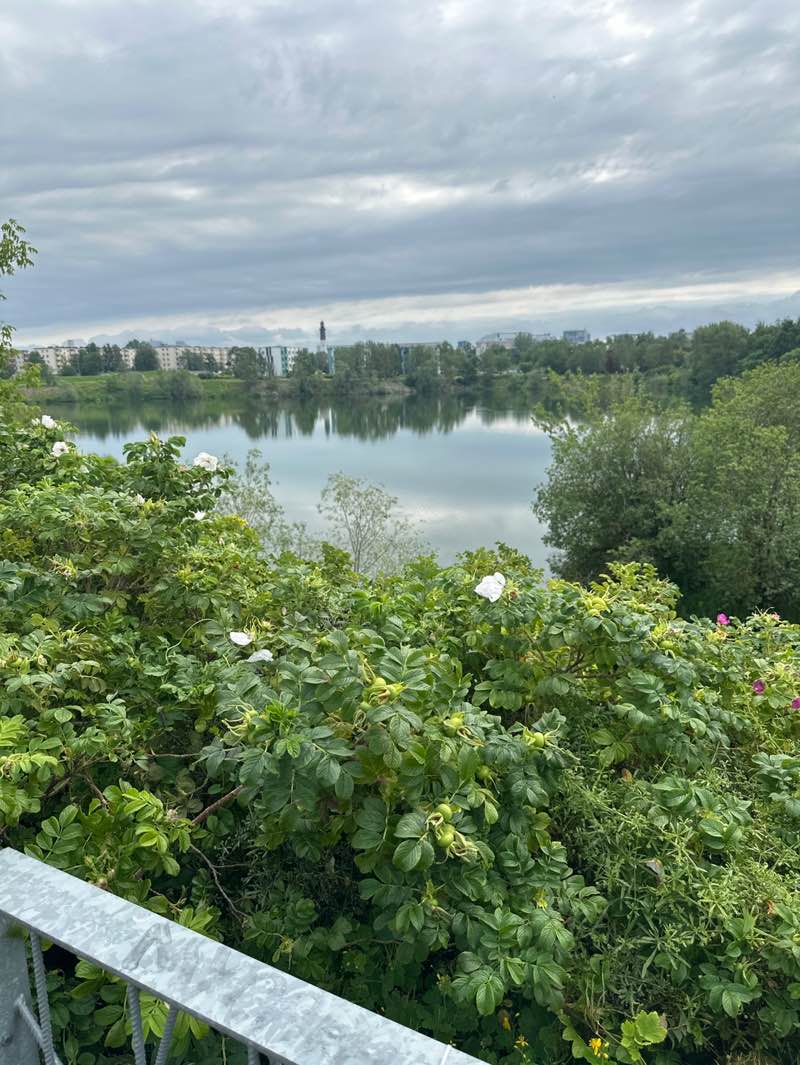 walking near me in Pae park in summer