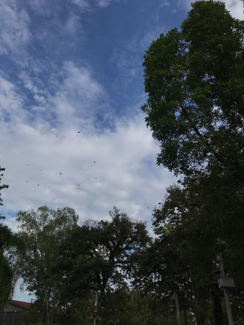 walking near me in Kerian RIver Park in winter