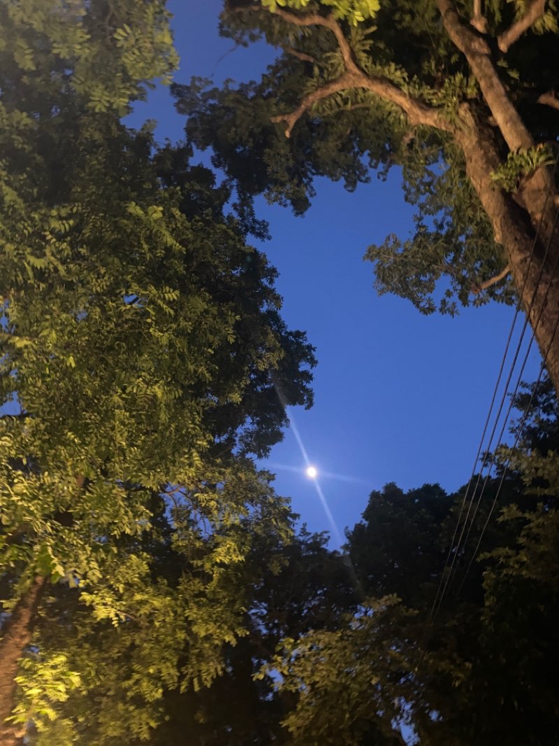 walking near me in Hanoi Botanical Gardens in autumn