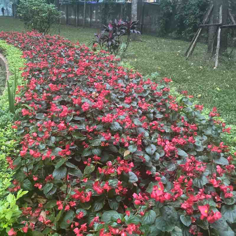 ❤️🌸💎BE A BETTER YOU💎🌸❤️ Hoà post image