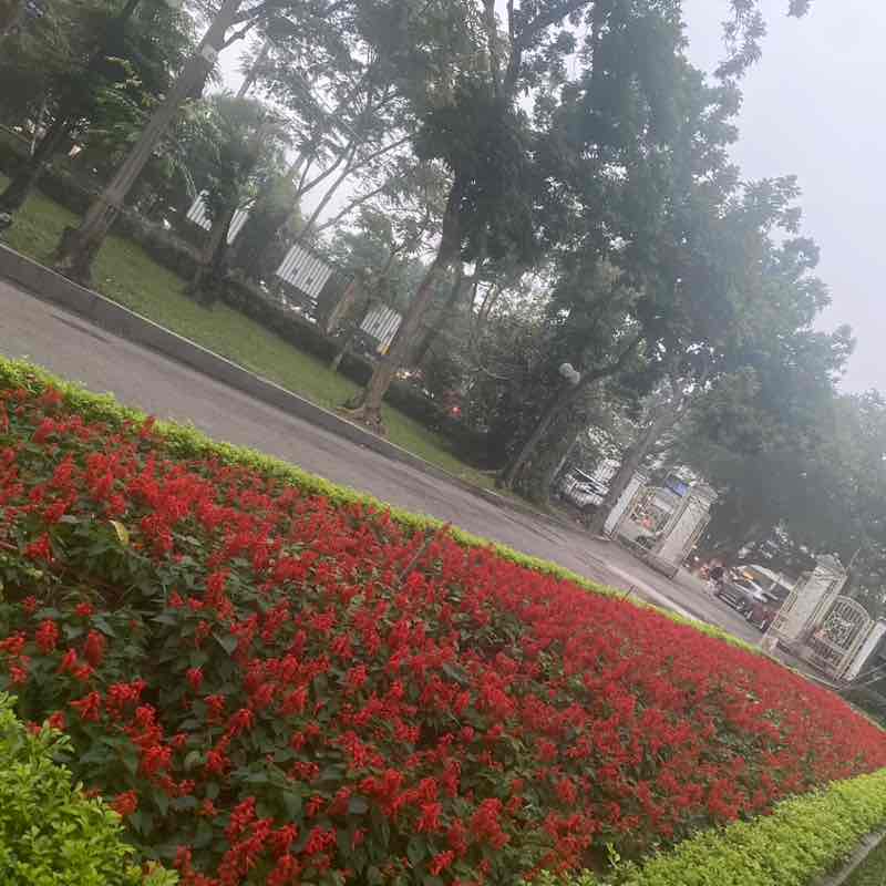 ❤️🌸💎BE A BETTER YOU💎🌸❤️ Hoà post image