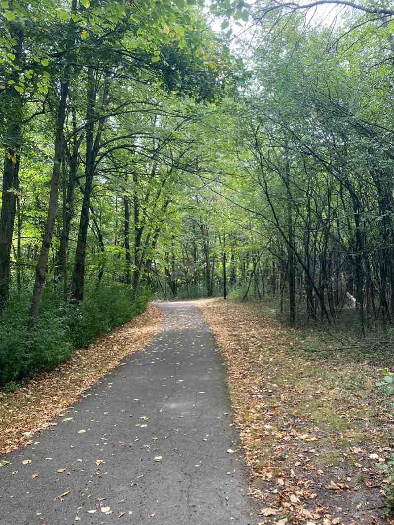 walking near me in Florence Park in winter
