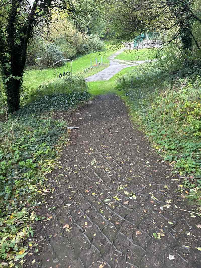 walking near me in Norman Park in autumn