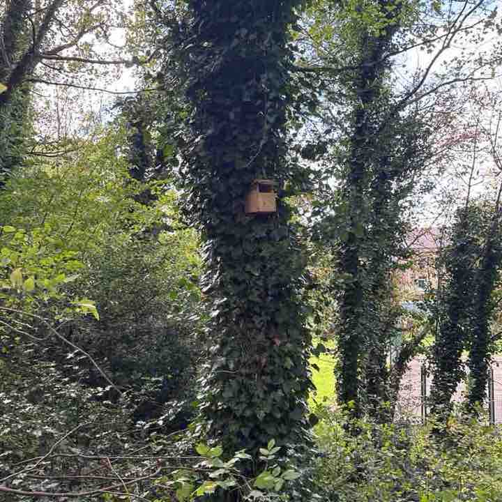 Michael1972, Huddersfield, England post 1