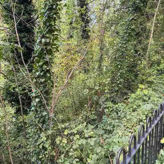 Michael1972, Huddersfield, England post 1