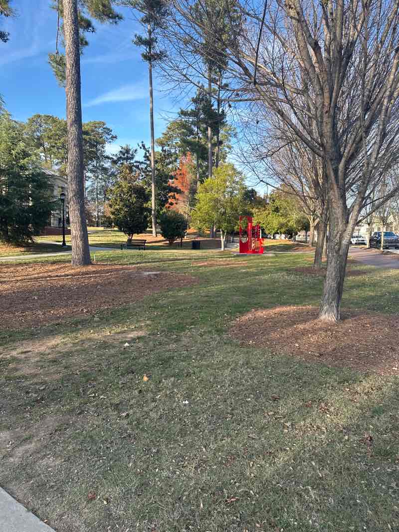 walking near me in Brooke Street Park in autumn