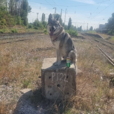 HELLBORN MC SCB 🇧🇬 Chuckie post image