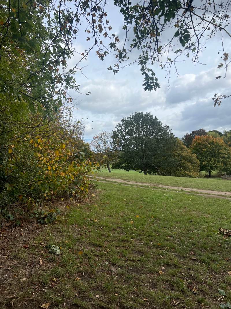 walking near me in Lloyd Park in autumn
