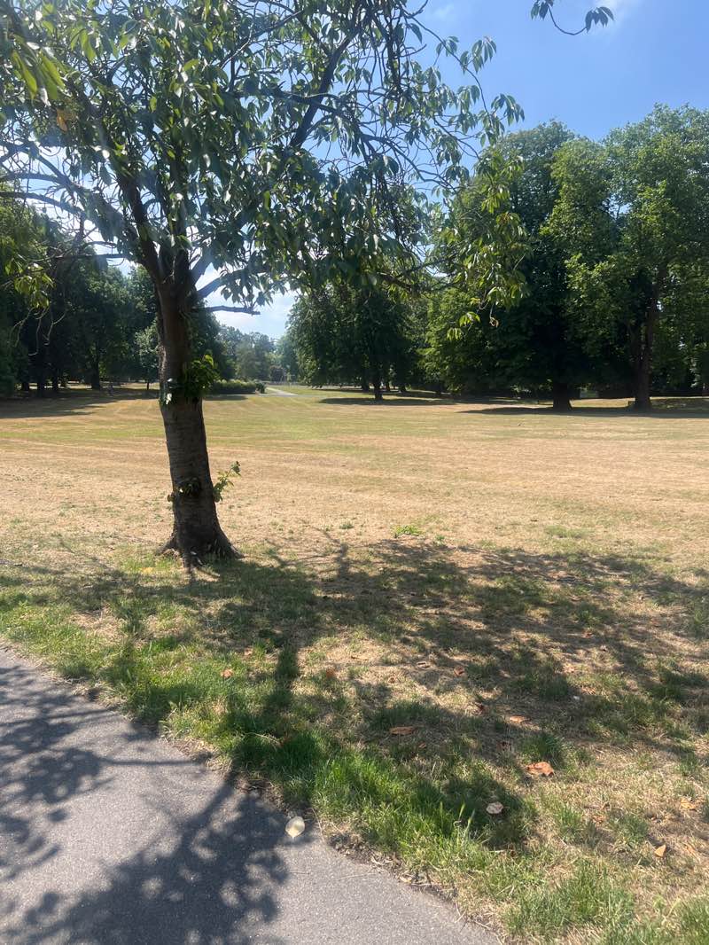 walking near me in Park Hill Recreation Ground in summer