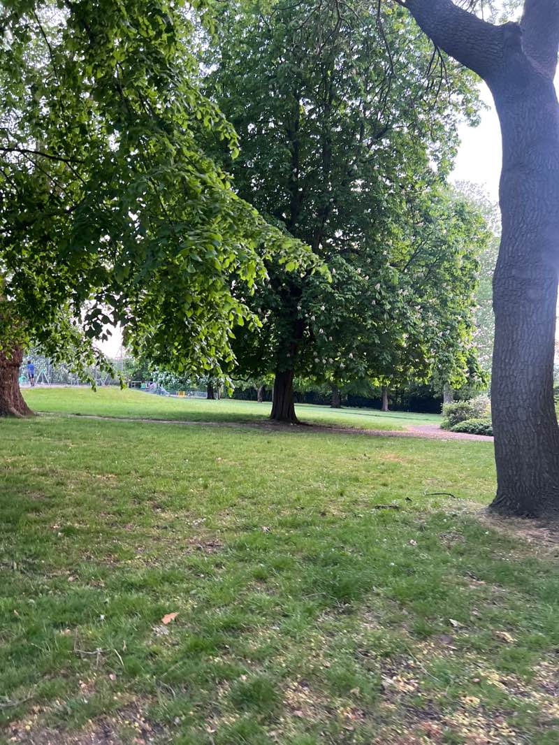walking near me in Park Hill Recreation Ground in spring