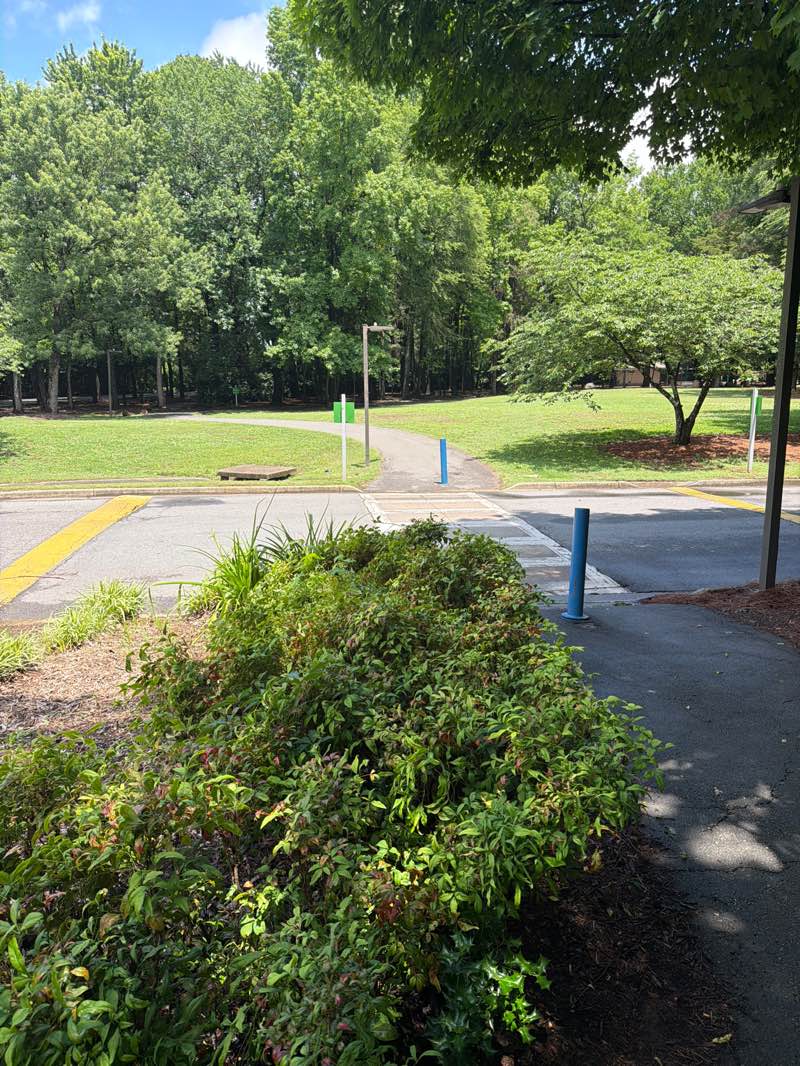 walking near me in Cherry Park in summer