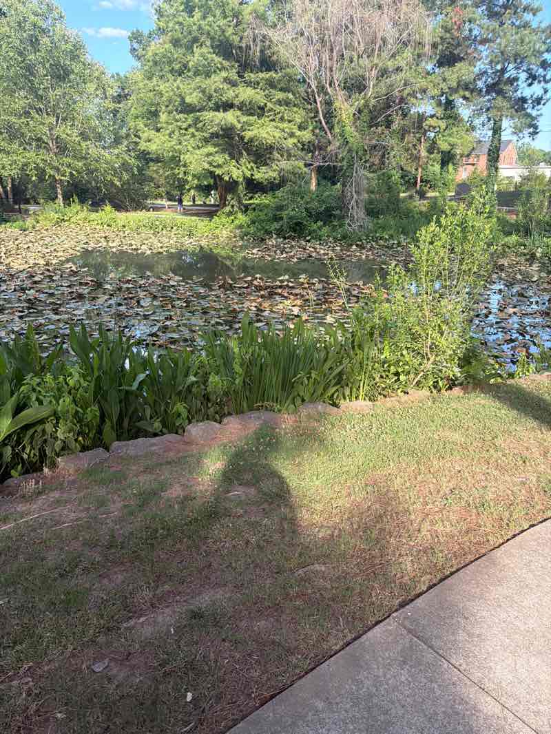 walking near me in Glencairn Garden in summer