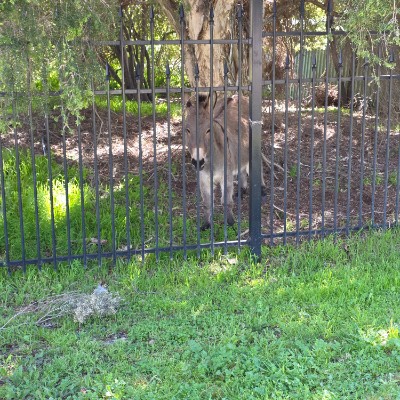 Carol.hall2501 post 3