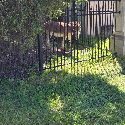 Carol.hall2501 post 2