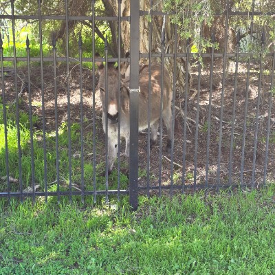 Carol.hall2501 post 1