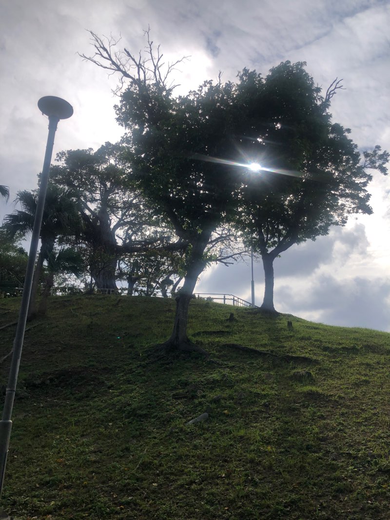 walking near me in 希望が丘公園 in winter
