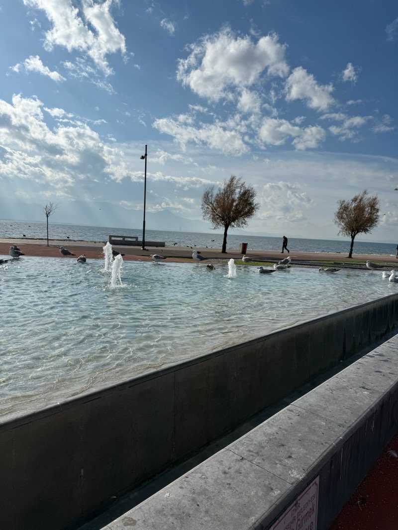 walking near me in Hıfzı Veldet Velidedeoğlu Parkı in winter