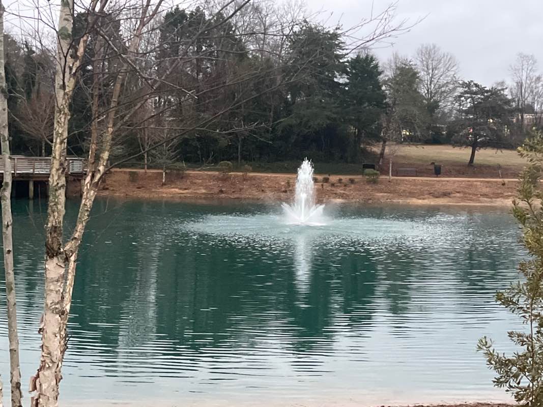 walking near me in Big Springs Park in winter