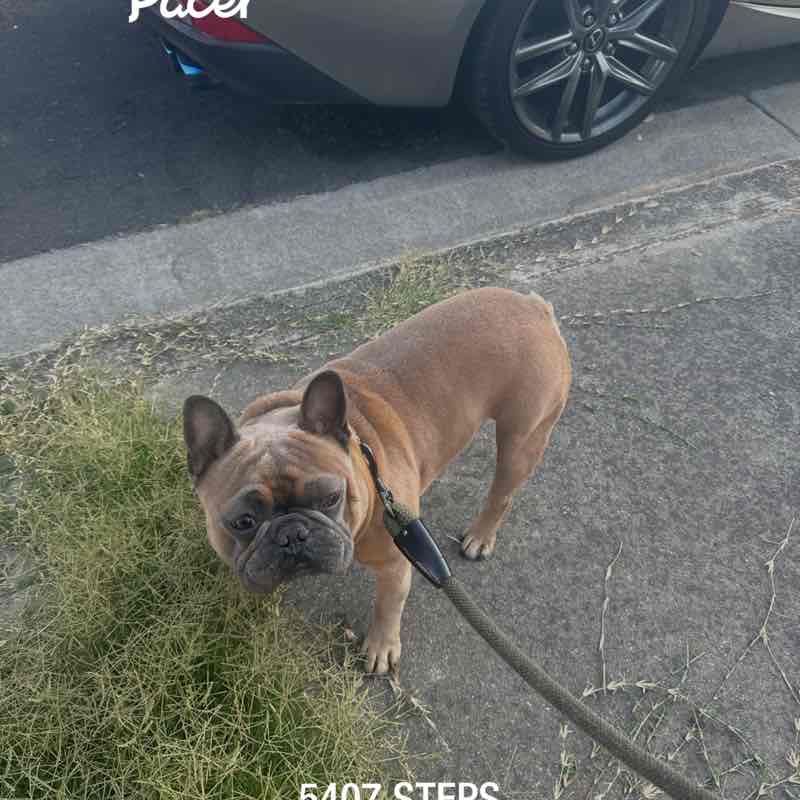 Ruby Ann Contreras Pedroza post 1