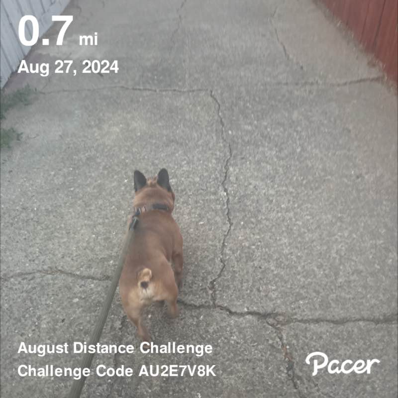 Ruby Ann Contreras Pedroza post 1