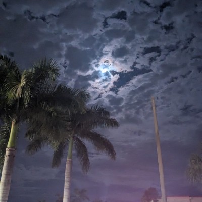 Walking Misfits๐ผ๐ผ๐ผ Mike post image