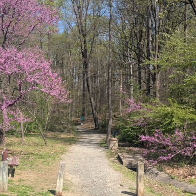 Hiking Thru Cities In History Mike post image