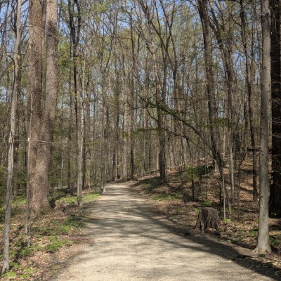 Hiking Thru Cities In History Mike post image