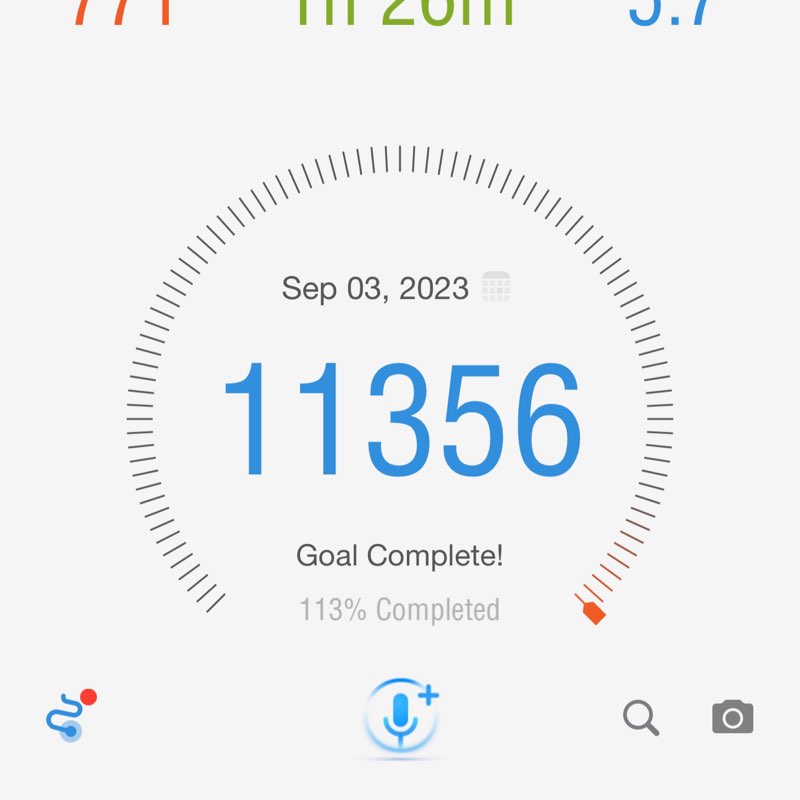 Jauvest Ngassa post 1