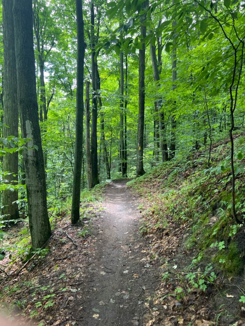 walking near me in Glacial Hills Pathway and Natural Area in winter