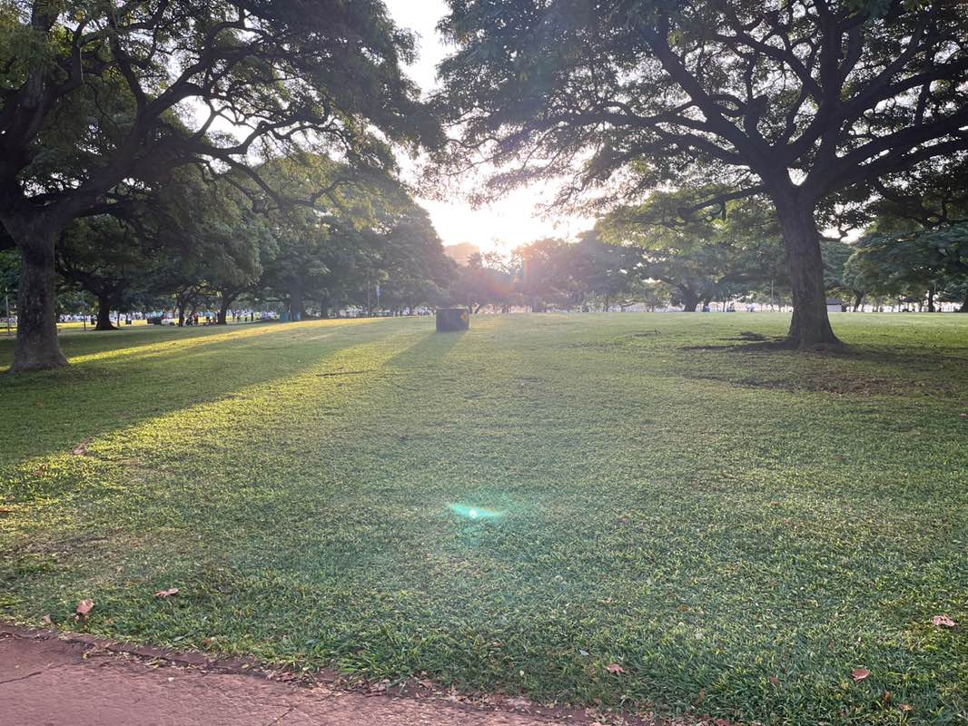 walking near me in Kakaako Makai Gateway Park in winter