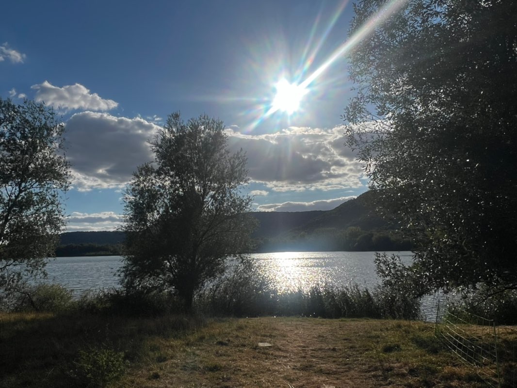 BieneMaja🐝 - und ich suche hier NICHT den Mann für‘s Leben!