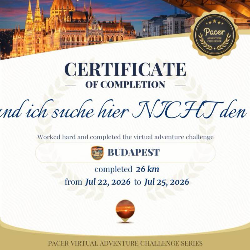 BieneMaja🐝 - und ich suche hier NICHT den Mann für‘s Leben! post 1