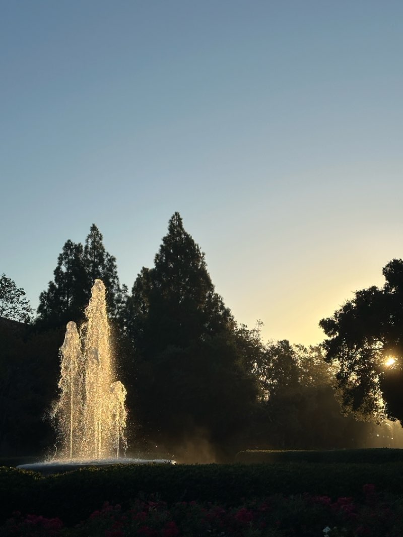 walking near me in Stanford Arboretum in winter