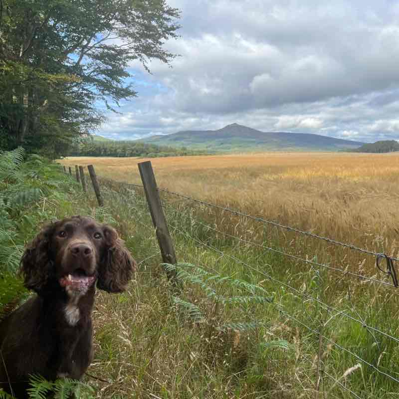 Brady Lane Rodger post 1