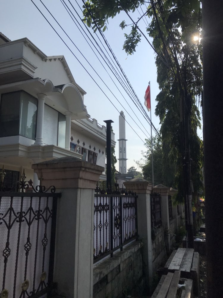 walking near me in Gasmin in spring