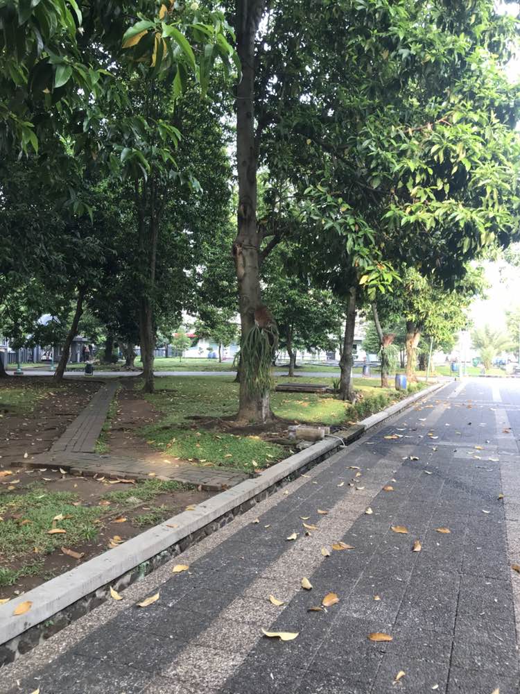 walking near me in Taman PUSDAI in spring