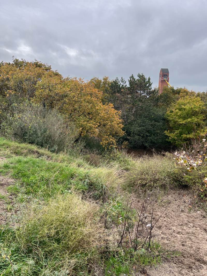 walking near me in Bosjes van Poot in autumn