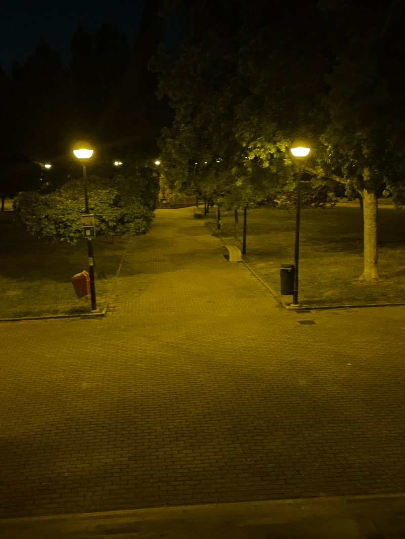 walking near me in Parque Tomas Caballero in summer