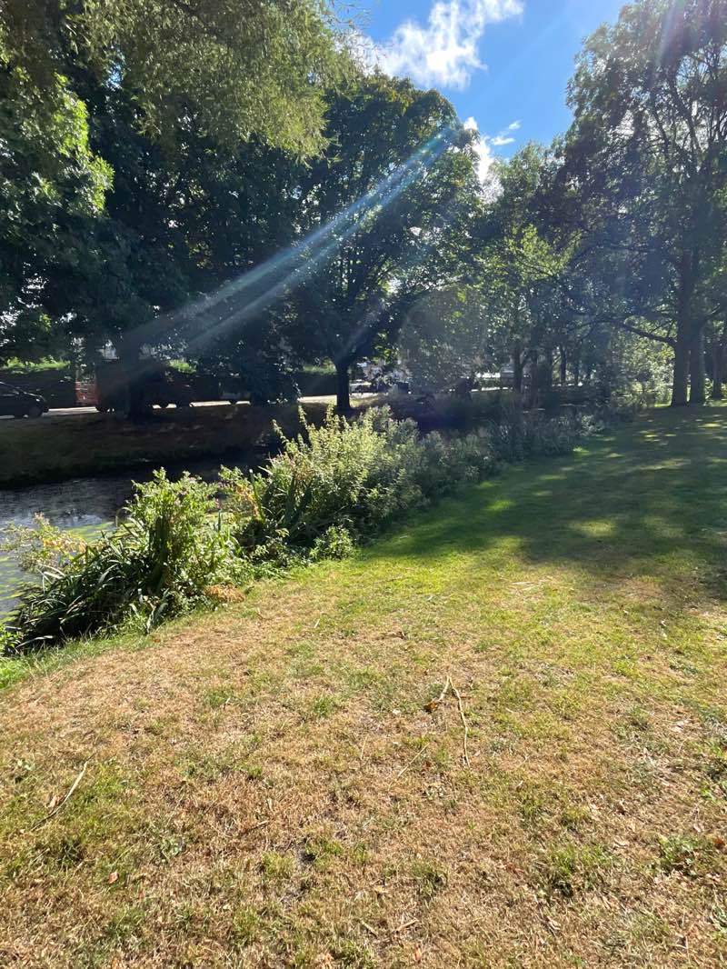 walking near me in Stadhoudersplantsoen in autumn