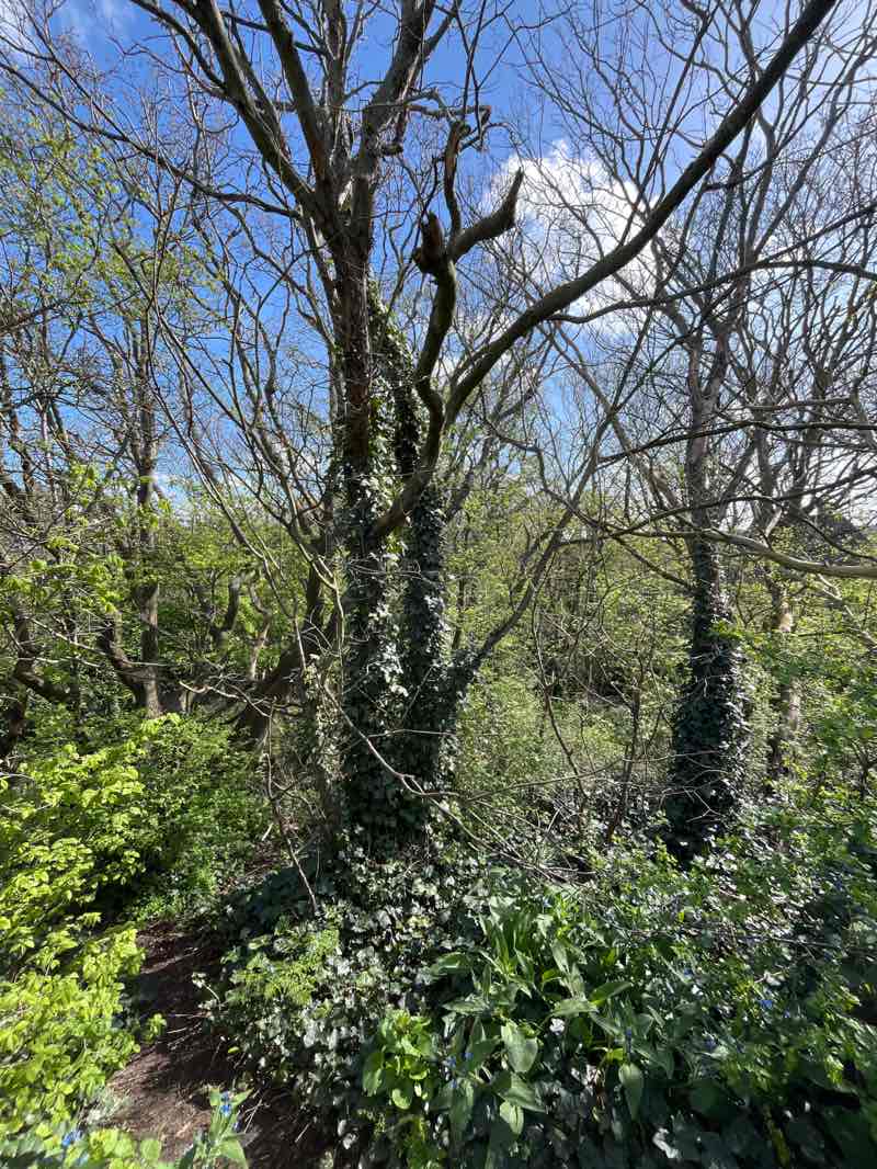 walking near me in Doornpark in spring