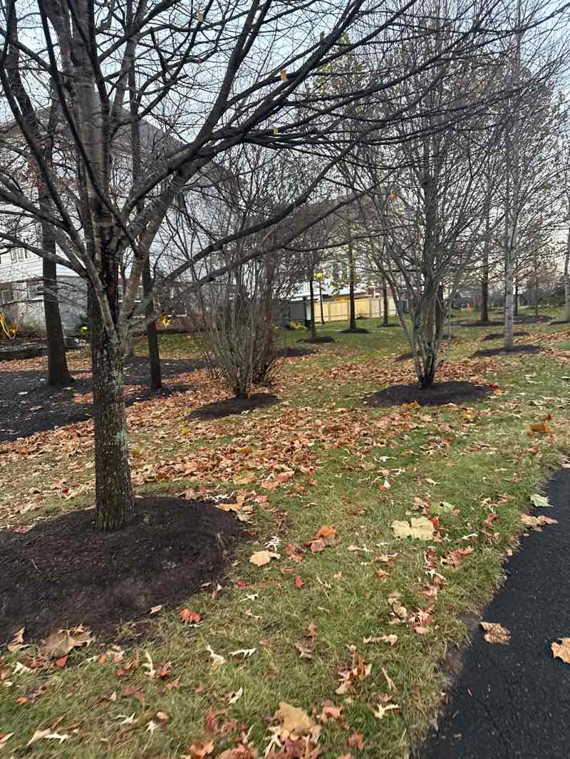 walking near me in Eleven Oaks Commons in winter