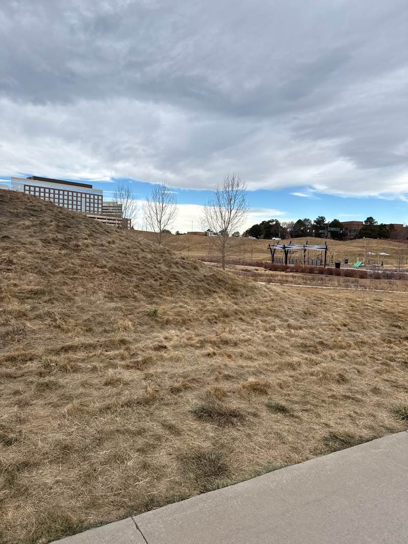 walking near me in Huntington Acres Park in winter