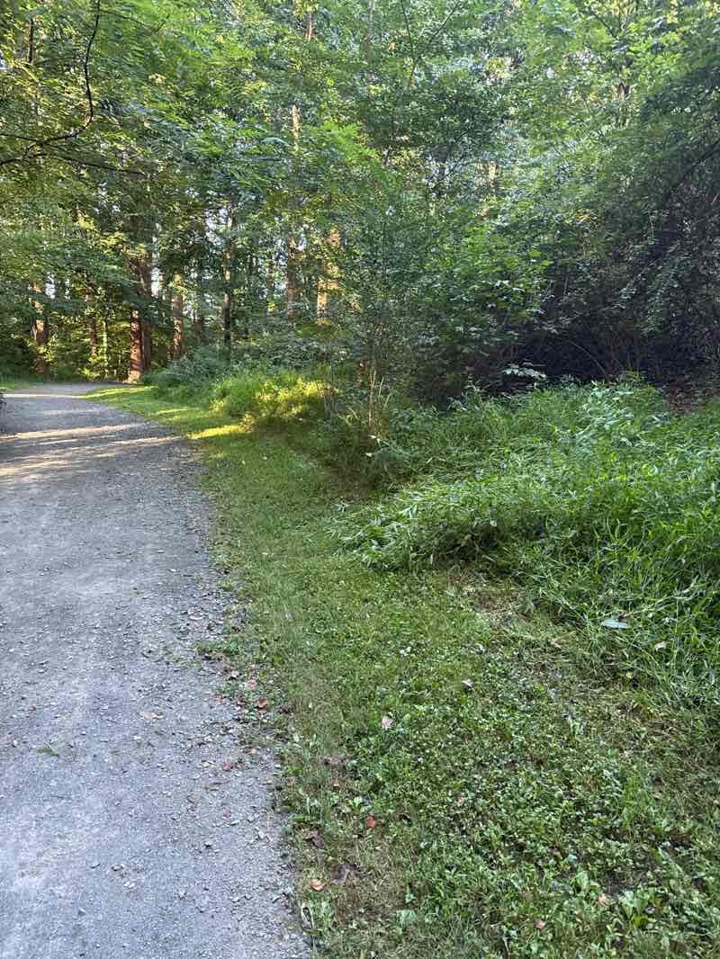 walking near me in Providence Park in autumn