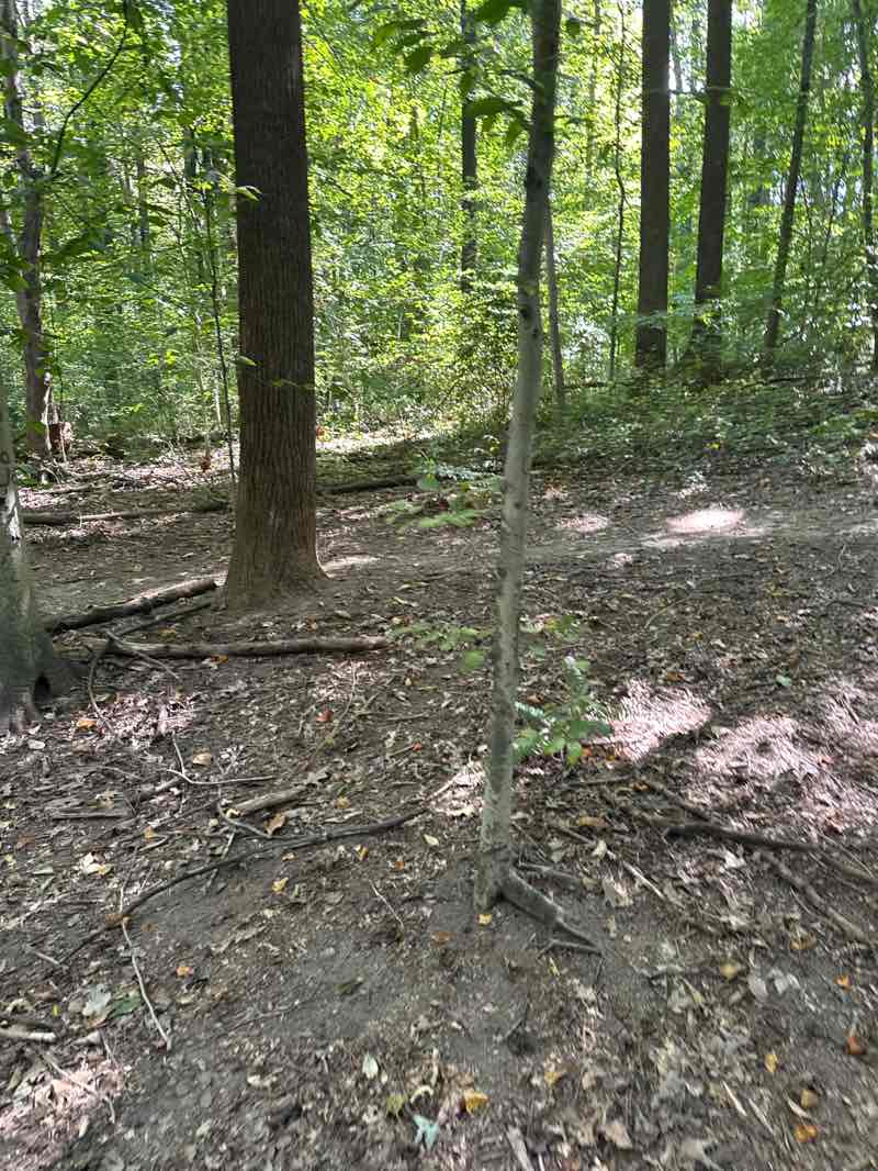 walking near me in Daniels Run Park in autumn