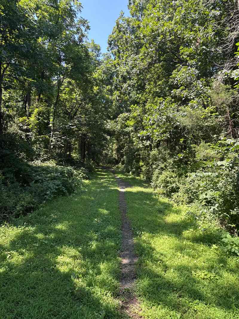 walking near me in Vestals Gap Overlook Park in autumn