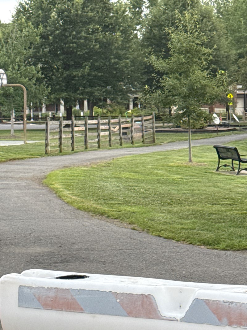 walking near me in Van Dyck Park in autumn