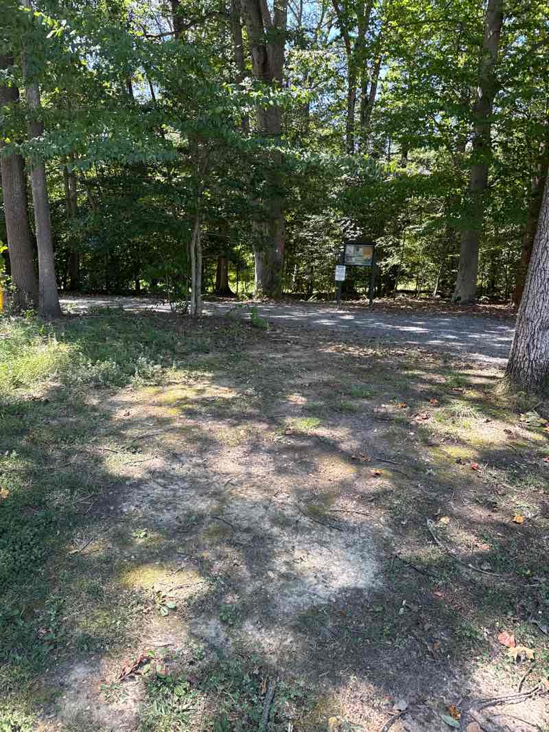 walking near me in Broad Creek Park in autumn