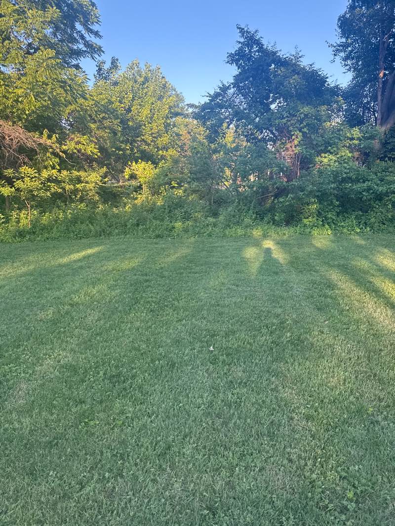 walking near me in Lewinsville Park in summer