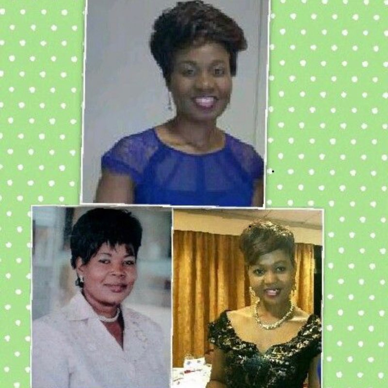 B . Shumirai profile